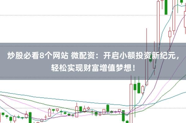 炒股必看8个网站 微配资：开启小额投资新纪元，轻松实现财富增值梦想！