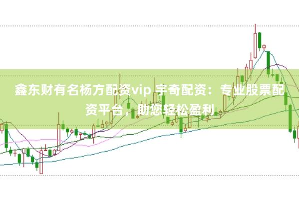 鑫东财有名杨方配资vip 宇奇配资：专业股票配资平台，助您轻松盈利