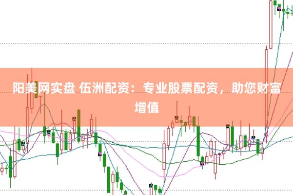 阳美网实盘 伍洲配资：专业股票配资，助您财富增值