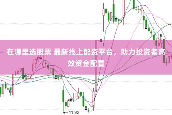 在哪里选股票 最新线上配资平台，助力投资者高效资金配置