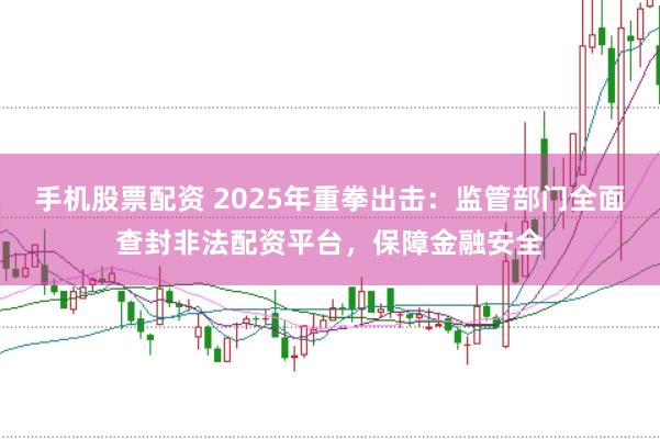 手机股票配资 2025年重拳出击：监管部门全面查封非法配资平台，保障金融安全