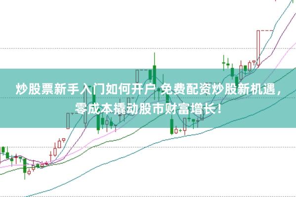 炒股票新手入门如何开户 免费配资炒股新机遇，零成本撬动股市财富增长！