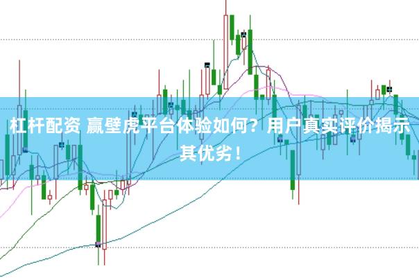 杠杆配资 赢壁虎平台体验如何？用户真实评价揭示其优劣！
