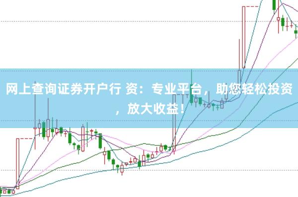 网上查询证券开户行 资：专业平台，助您轻松投资，放大收益！