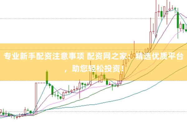 专业新手配资注意事项 配资网之家：精选优质平台，助您轻松投资！