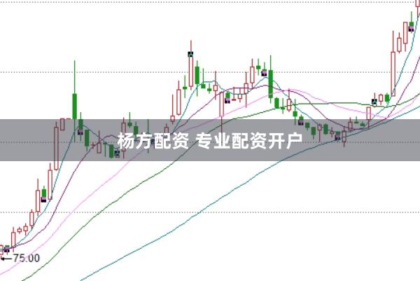 杨方配资 专业配资开户