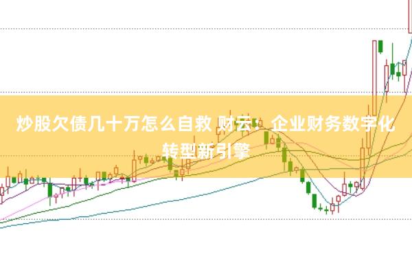 炒股欠债几十万怎么自救 财云：企业财务数字化转型新引擎