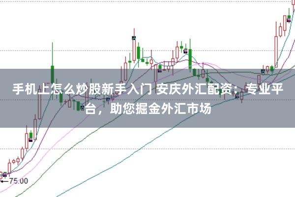 手机上怎么炒股新手入门 安庆外汇配资：专业平台，助您掘金外汇市场