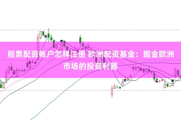 股票配资帐户怎样注册 欧洲配资基金：掘金欧洲市场的投资利器