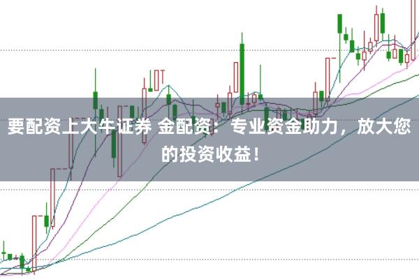 要配资上大牛证券 金配资：专业资金助力，放大您的投资收益！