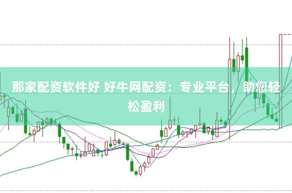 那家配资软件好 好牛网配资：专业平台，助您轻松盈利