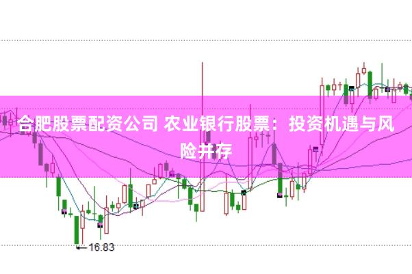 合肥股票配资公司 农业银行股票：投资机遇与风险并存