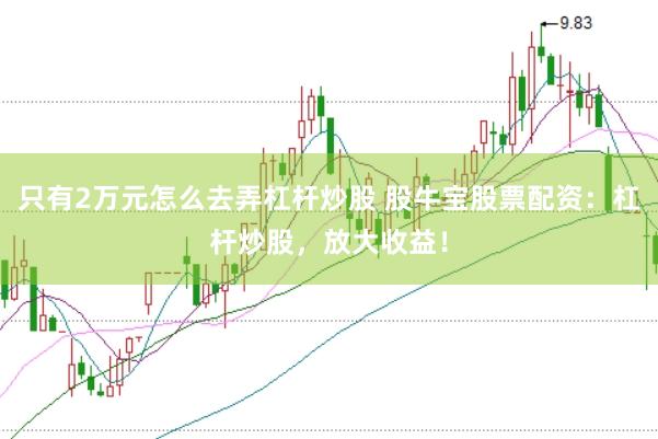 只有2万元怎么去弄杠杆炒股 股牛宝股票配资：杠杆炒股，放大收益！