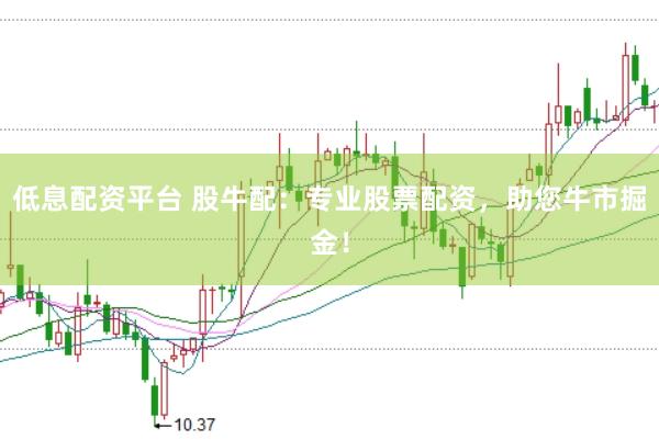 低息配资平台 股牛配：专业股票配资，助您牛市掘金！