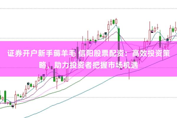 证券开户新手薅羊毛 信阳股票配资：高效投资策略，助力投资者把握市场机遇