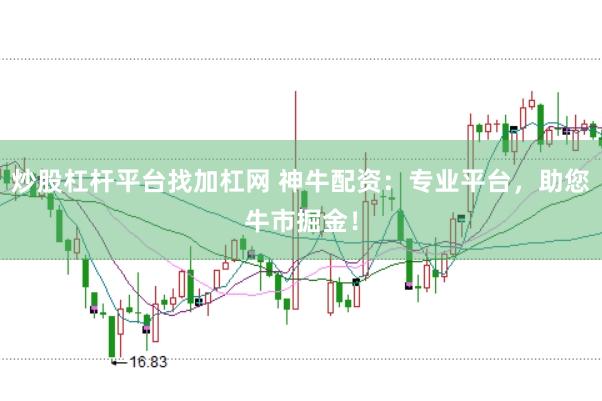 炒股杠杆平台找加杠网 神牛配资：专业平台，助您牛市掘金！