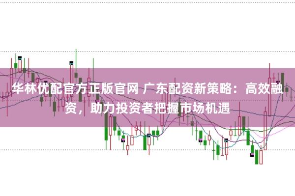 华林优配官方正版官网 广东配资新策略：高效融资，助力投资者把握市场机遇