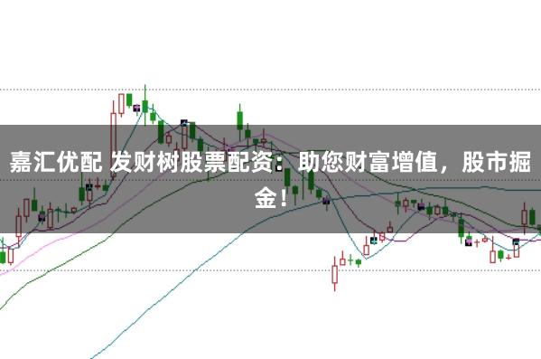 嘉汇优配 发财树股票配资：助您财富增值，股市掘金！