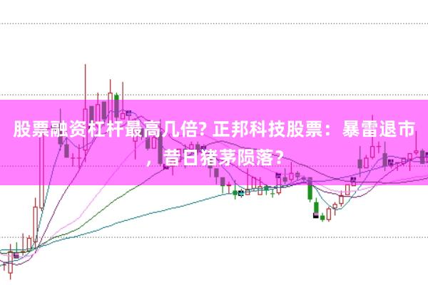 股票融资杠杆最高几倍? 正邦科技股票：暴雷退市，昔日猪茅陨落？